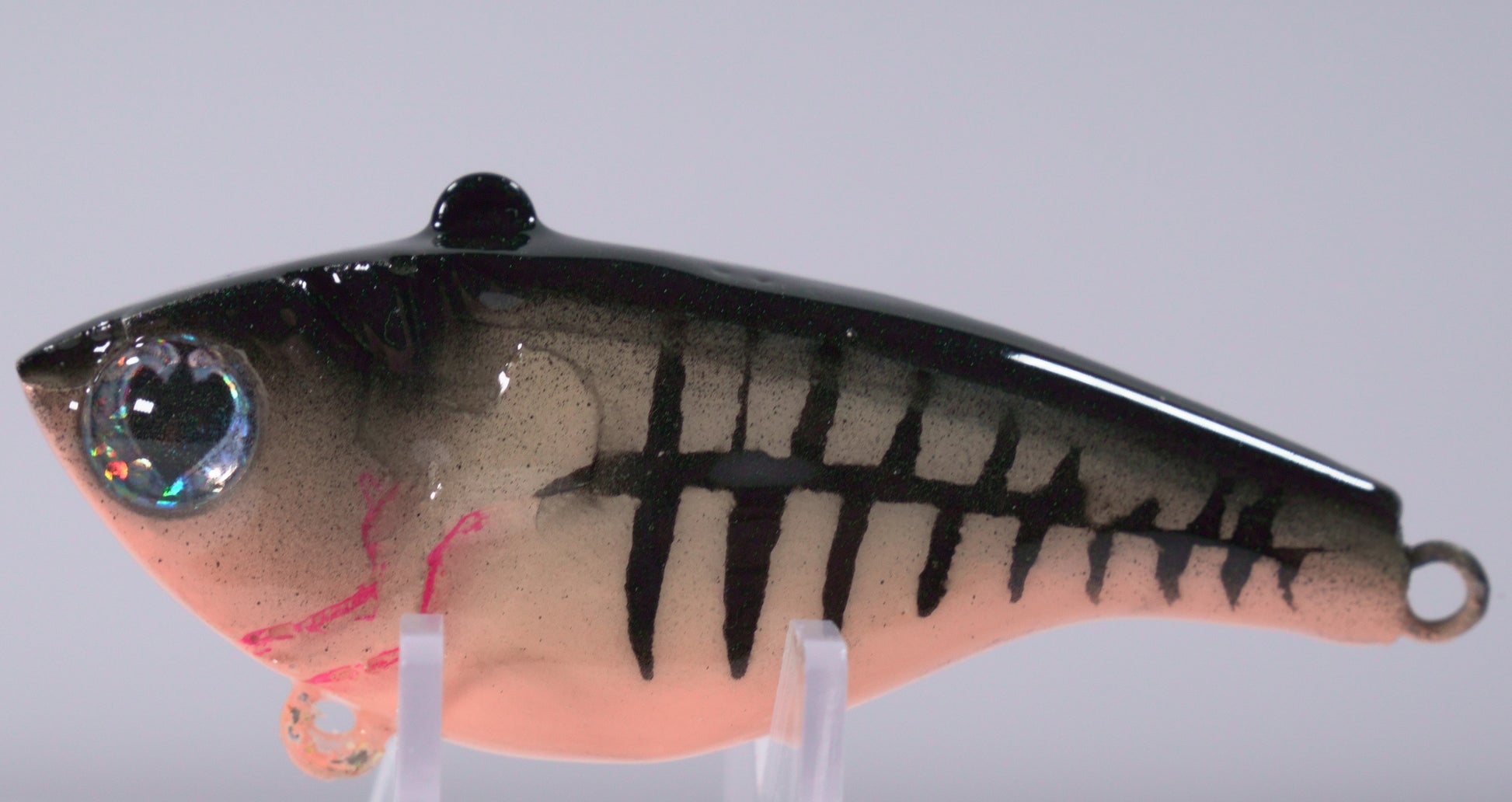½ oz Skelly Bone Lipless Crankbait

The Skelly Bone Lipless Crankbait is a ½ oz lure designed to grab attention and trigger reaction bites. Its Skelly Bone color pattern combines a soft bone-white body with subtle flashes of pearl and metallic highlights — a proven color that stands out in clear, cloudy, or slightly stained water.

With a tight, high-vibration wobble and  internal rattles, this bait mimics distressed baitfish and draws aggressive strikes from bass, walleye, and pike.