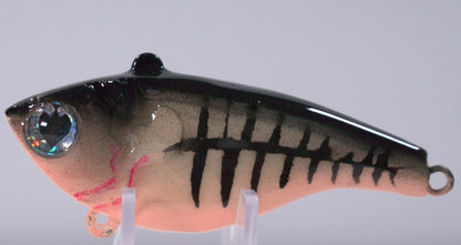 ½ oz Skelly Bone Lipless Crankbait

The Skelly Bone Lipless Crankbait is a ½ oz lure designed to grab attention and trigger reaction bites. Its Skelly Bone color pattern combines a soft bone-white body with subtle flashes of pearl and metallic highlights — a proven color that stands out in clear, cloudy, or slightly stained water.

With a tight, high-vibration wobble and  internal rattles, this bait mimics distressed baitfish and draws aggressive strikes from bass, walleye, and pike.